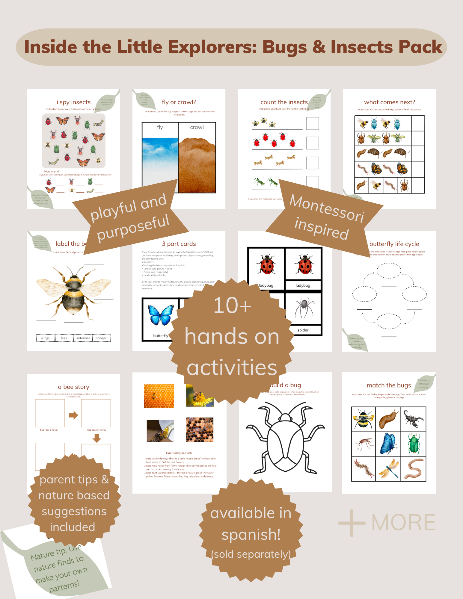 Little Explorers Pack: Bugs & Insects