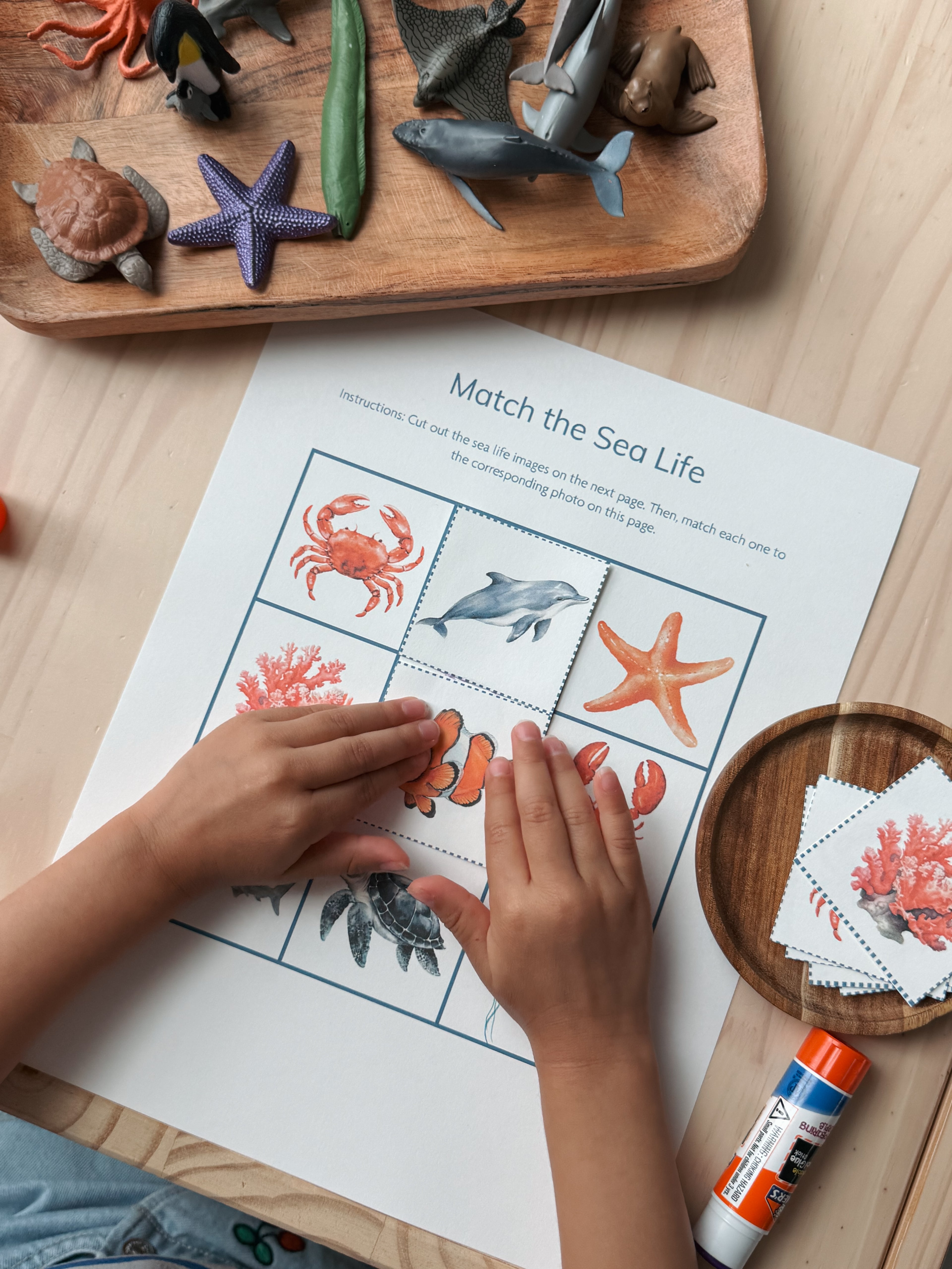 Little Explorers: Sea Life