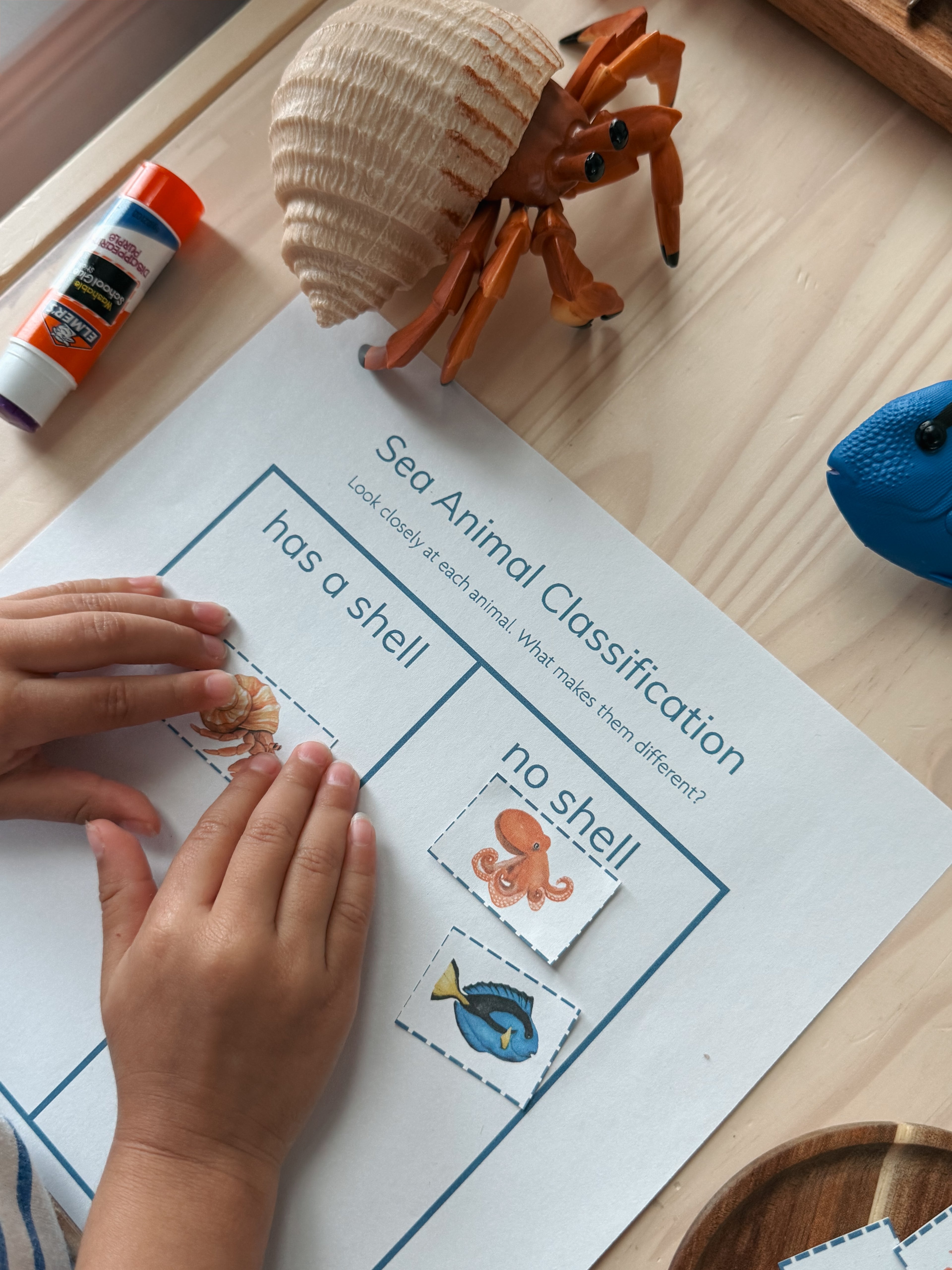 Little Explorers: Sea Life