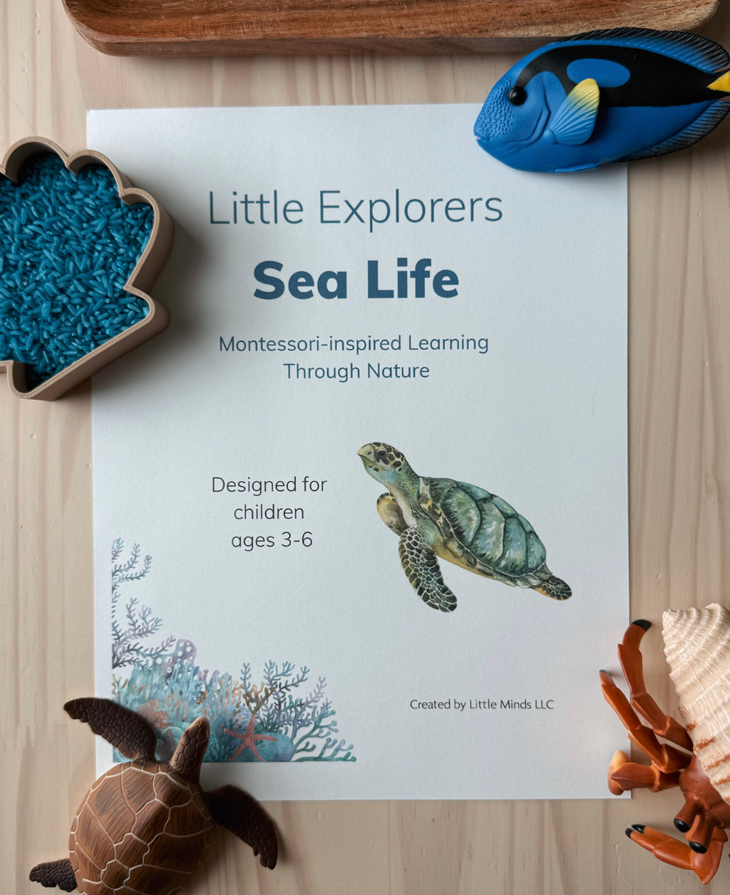 Little Explorers: Sea Life