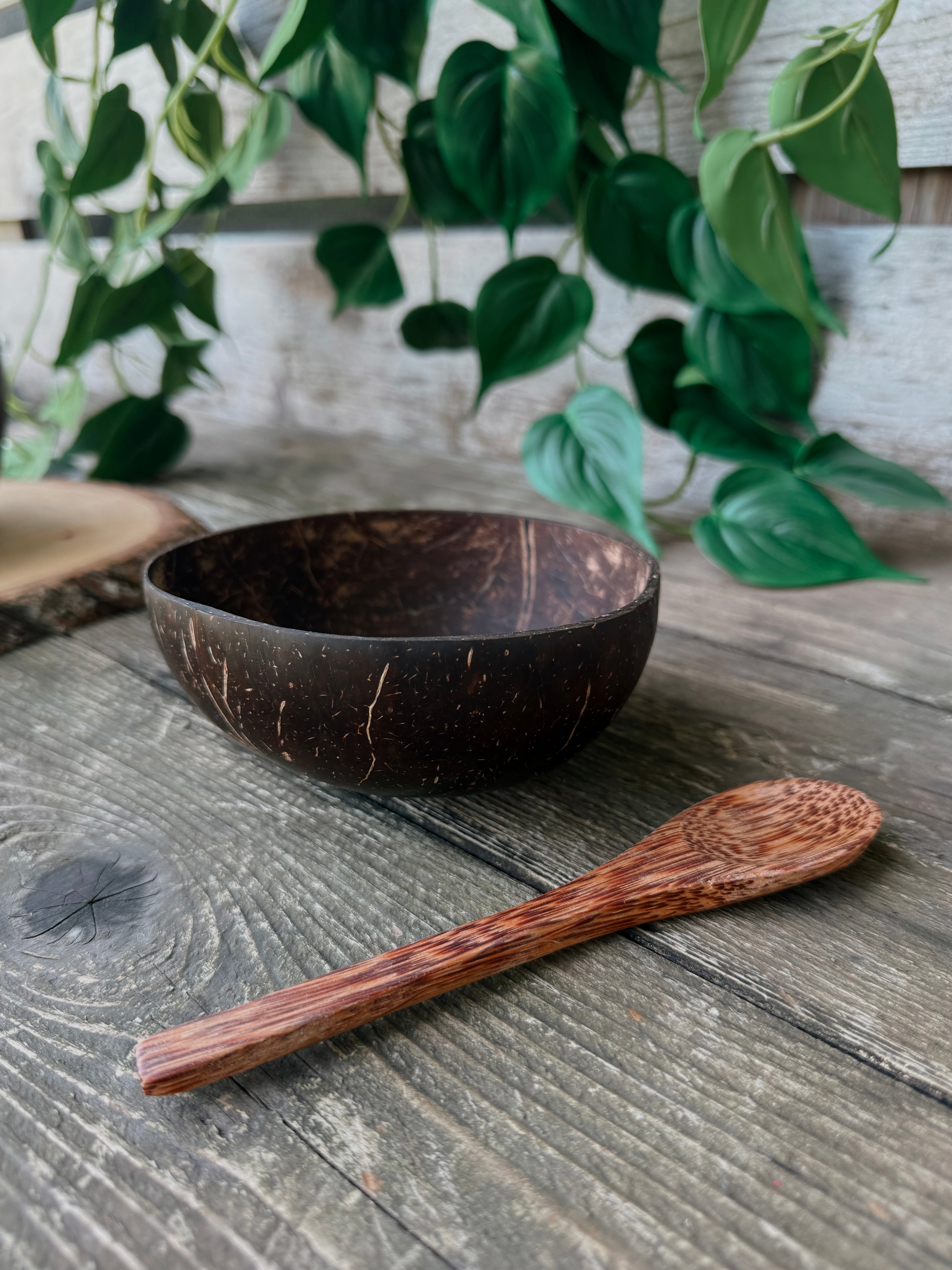 Coconut Bowl & Wooden Spoon Set