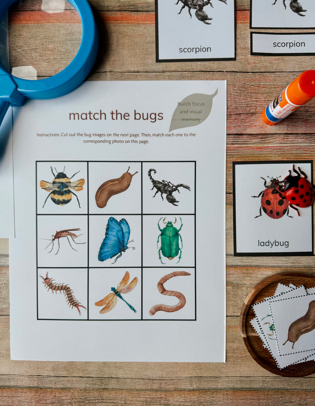 Little Explorers Pack: Bugs & Insects