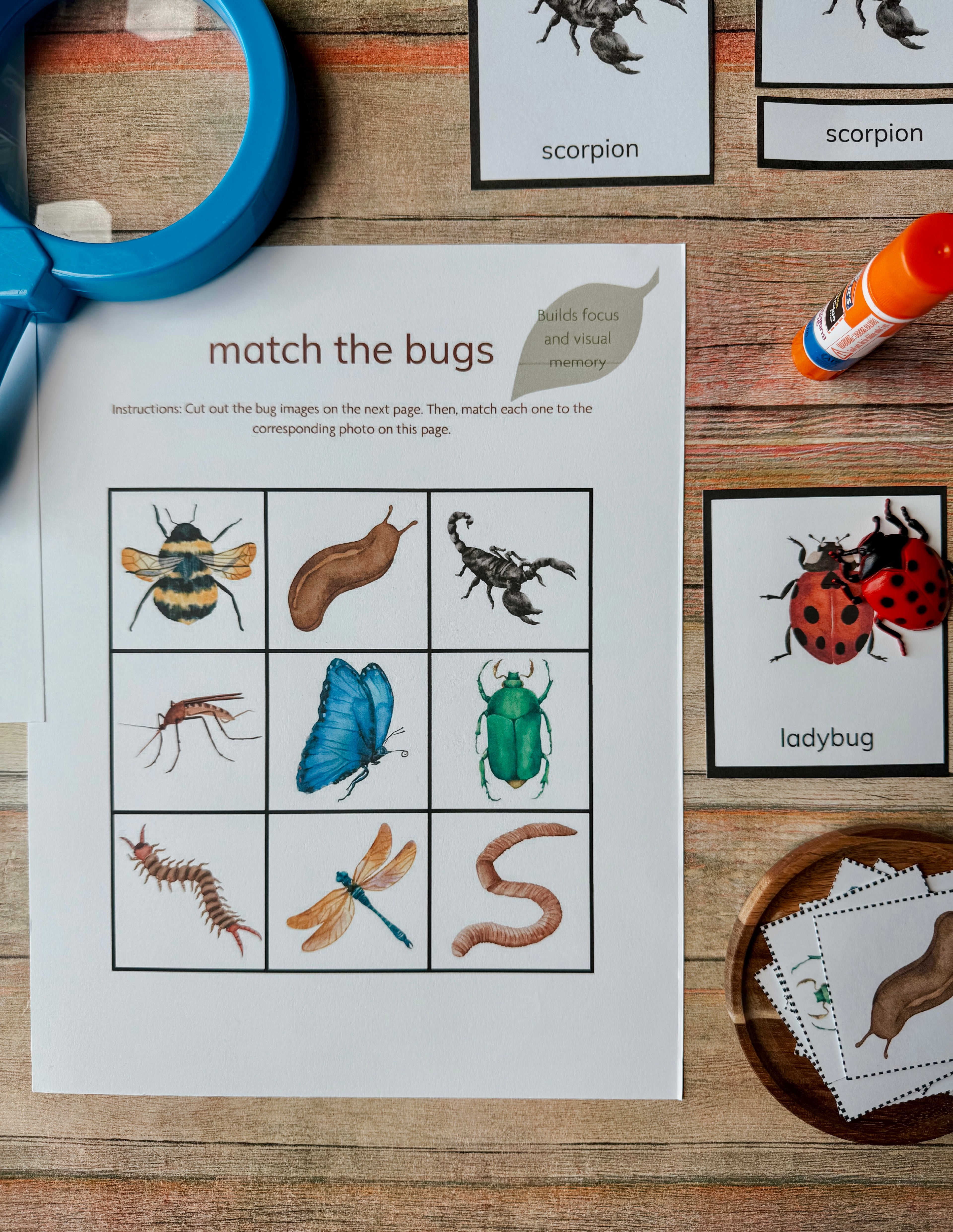 Little Explorers Pack: Bugs & Insects