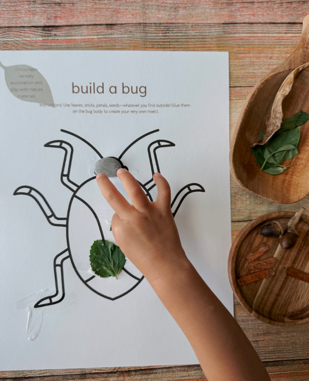 Little Explorers Pack: Bugs & Insects