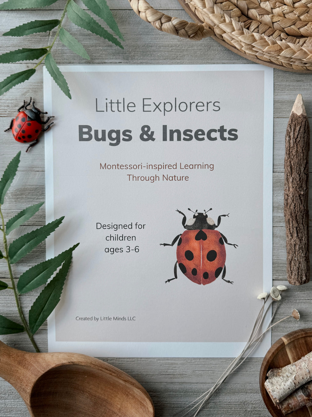Little Explorers Pack: Bugs & Insects