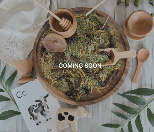 Little Minds: Scoop & Explore