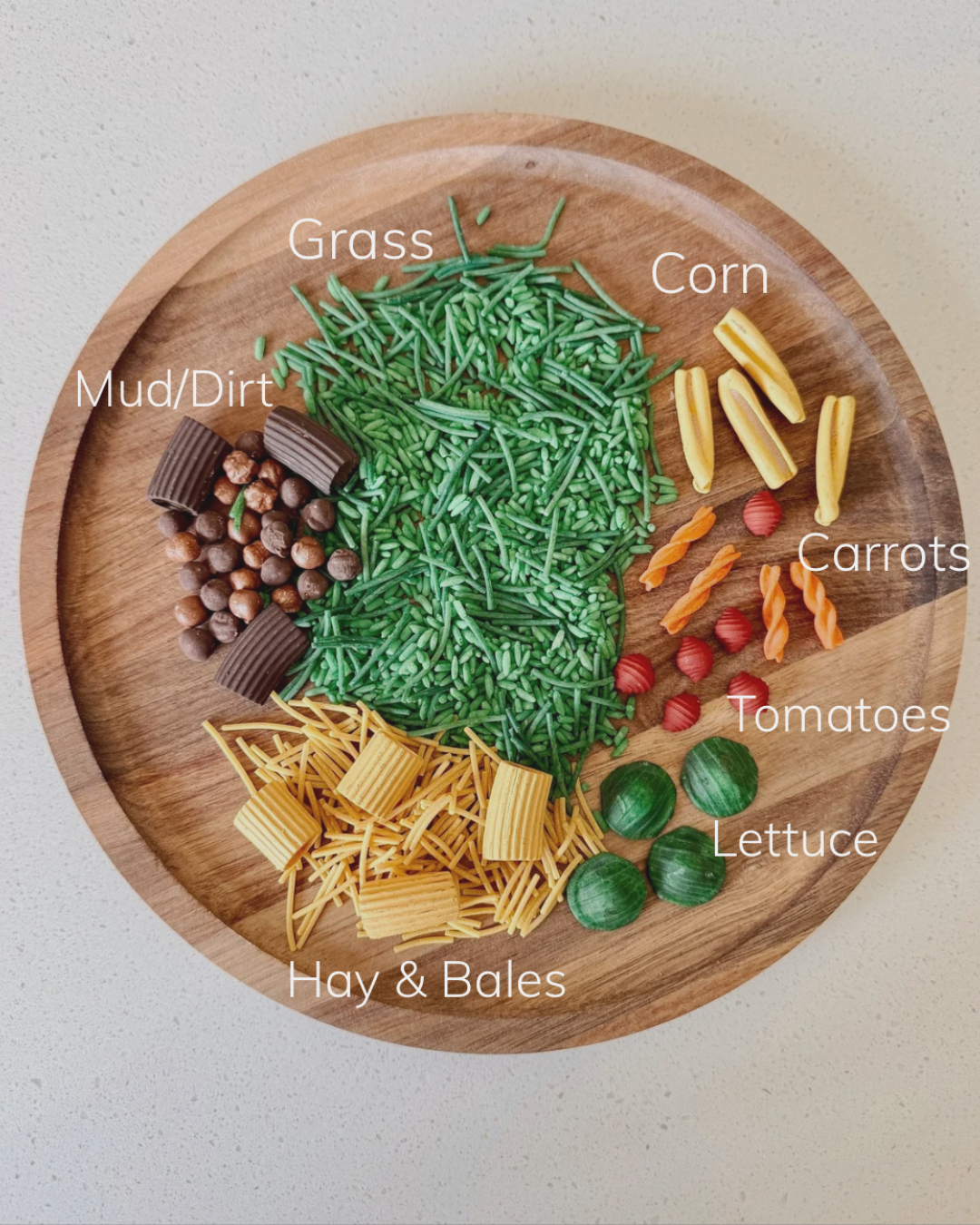 Farm Theme Sensory Filler